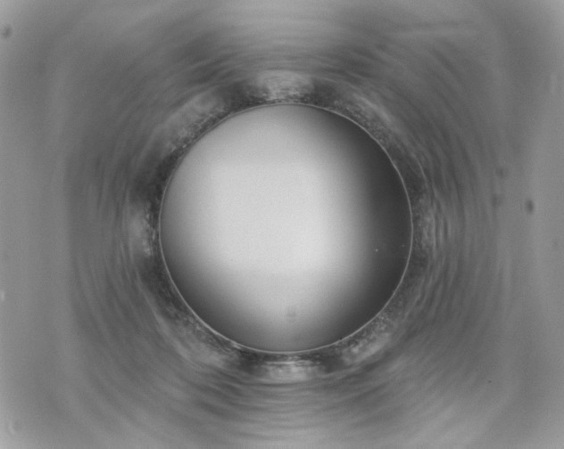 X0000070360316200606161258