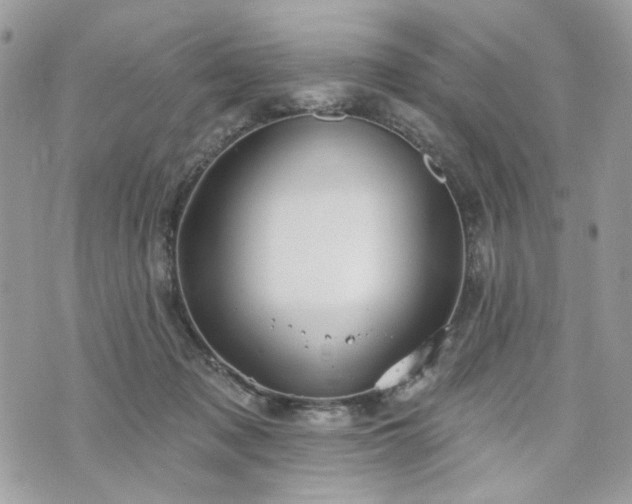 X0000070360317200606161258