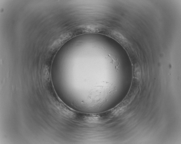 X0000070360318200606161258