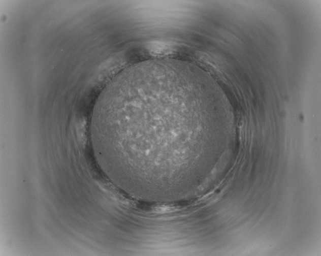 X0000070360319200606161258