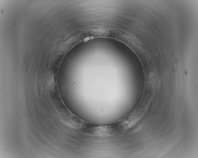 X0000070360320200606161258