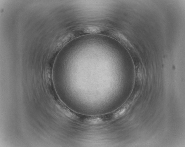 X0000070360322200606161258