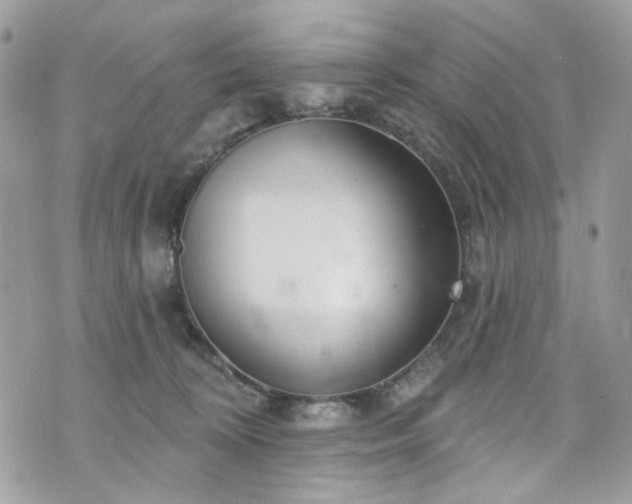 X0000070360324200606161258