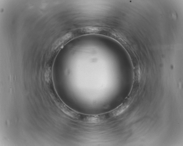 X0000070360325200606161258