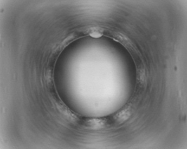 X0000070360326200606161258