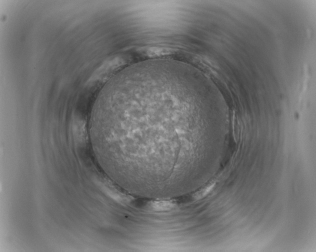 X0000070360327200606161258