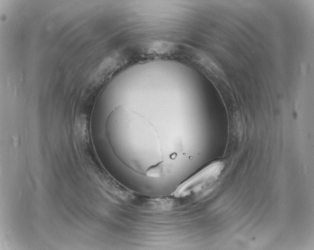 X0000070360328200606161258