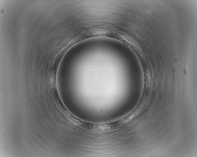 X0000070360329200606161258