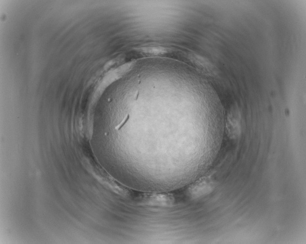 X0000070360330200606161258