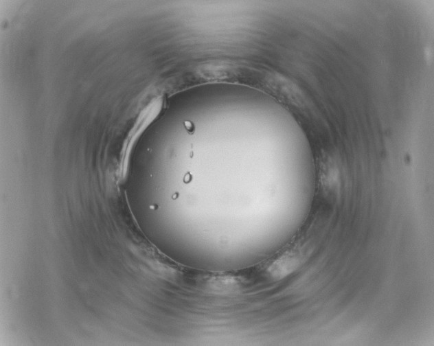 X0000070360332200606161258