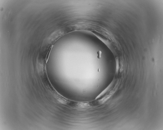 X0000070360333200606161258