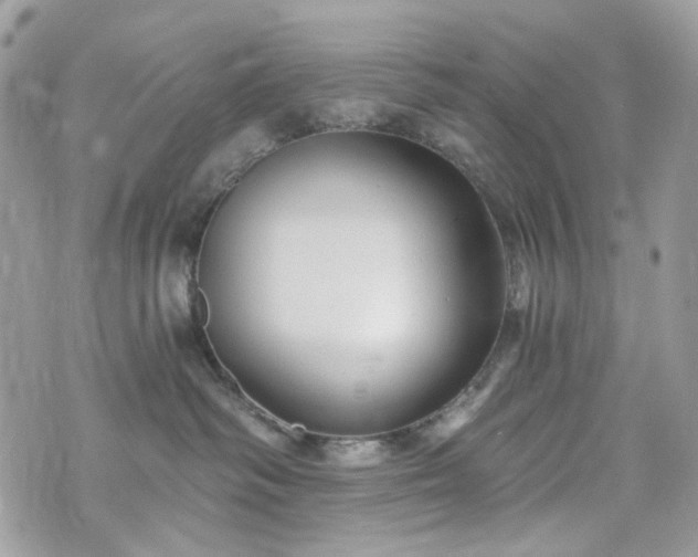 X0000070360334200606161258