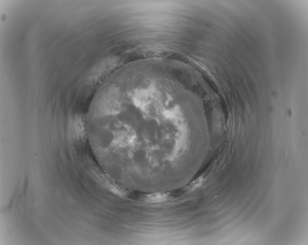 X0000070360335200606161258