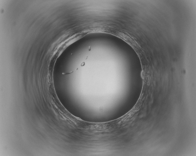 X0000070360338200606161257