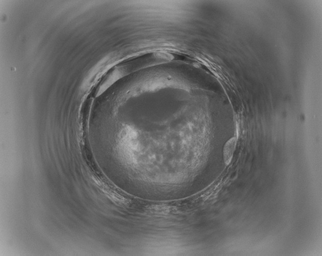 X0000070360339200606161257