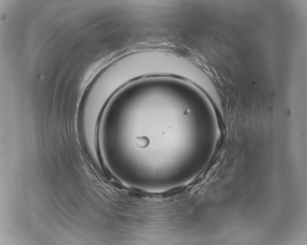 X0000070360340200606161257