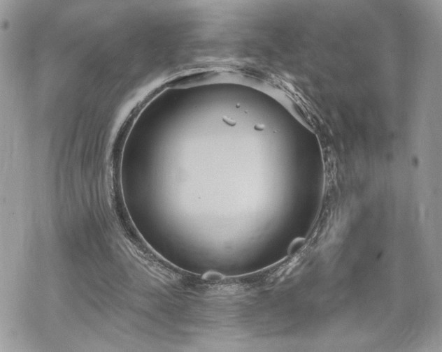 X0000070360342200606161257