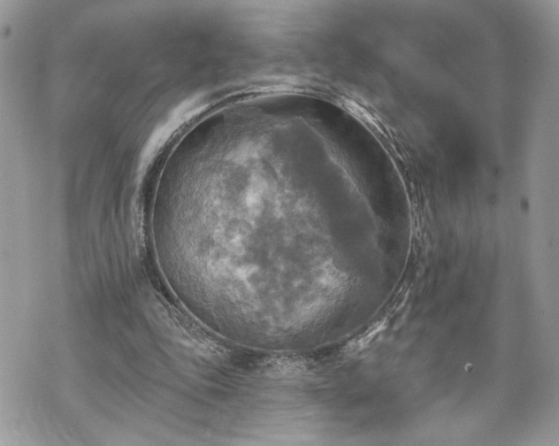 X0000070360343200606161257