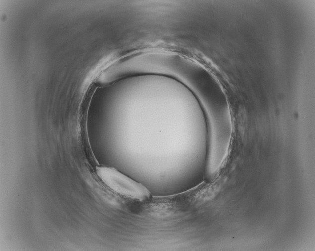 X0000070360344200606161257