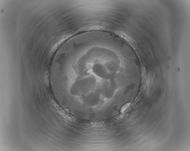 X0000070360345200606161257