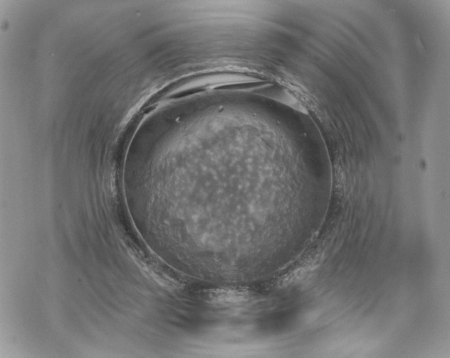 X0000070360347200606161257