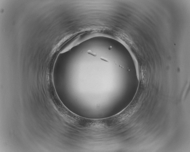 X0000070360348200606161257