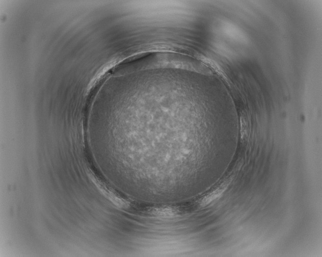 X0000070360349200606161257