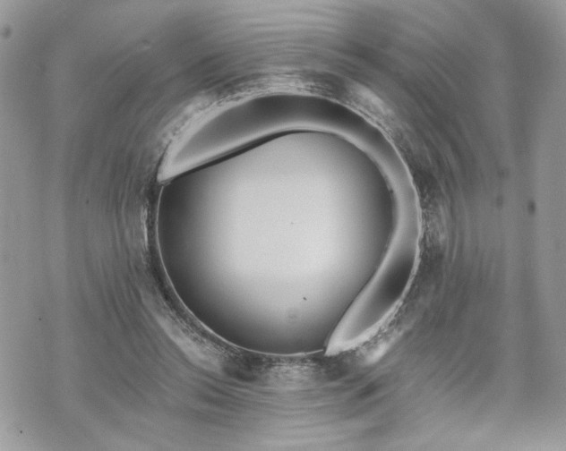 X0000070360350200606161257