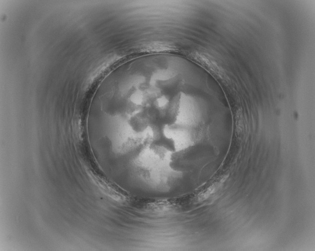 X0000070360351200606161257