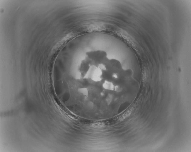 X0000070360353200606161257