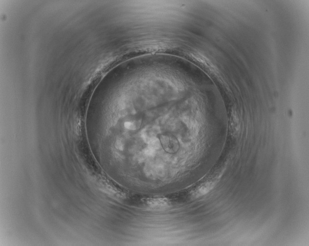 X0000070360355200606161257