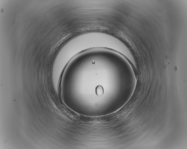 X0000070360356200606161257