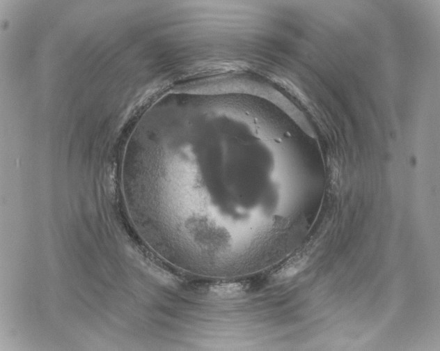 X0000070360357200606161257