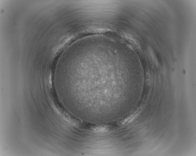 X0000070360358200606161257