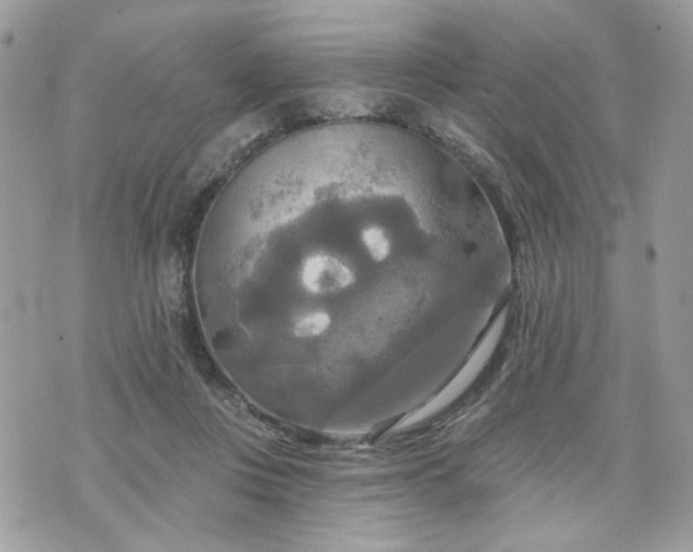 X0000070360359200606161257