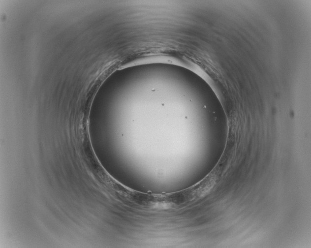 X0000070360360200606161257