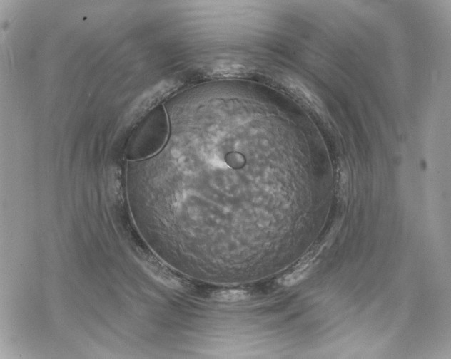 X0000070360361200606161257