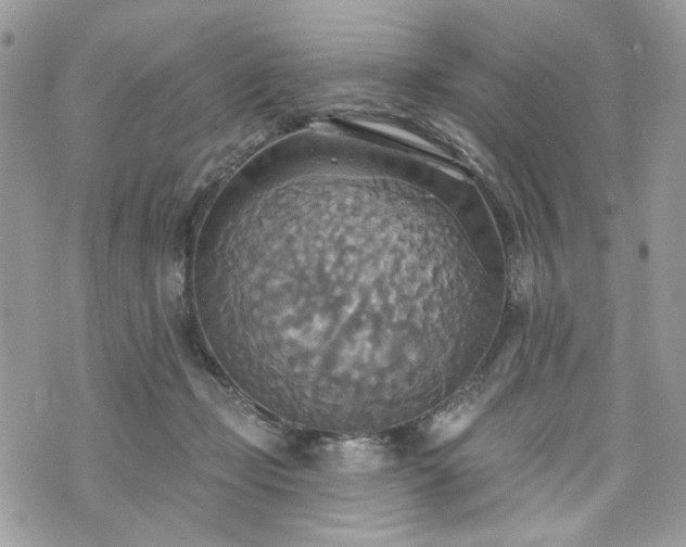 X0000070360365200606161258