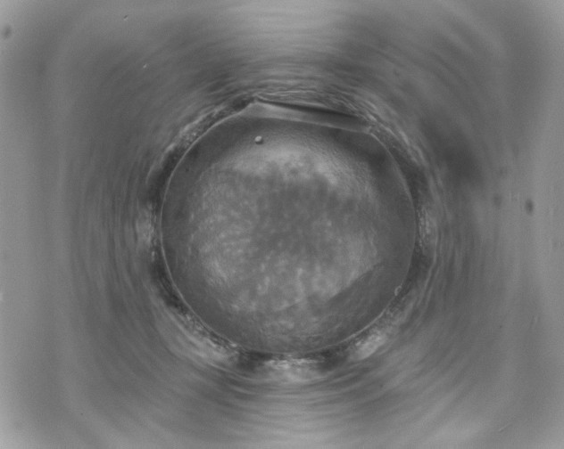 X0000070360367200606161258