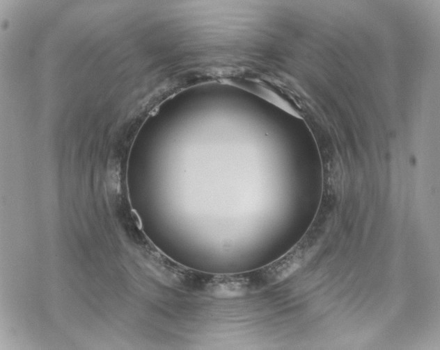 X0000070360368200606161258