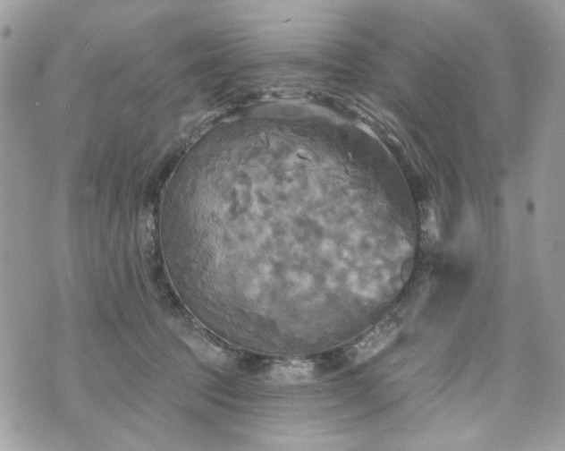 X0000070360369200606161258