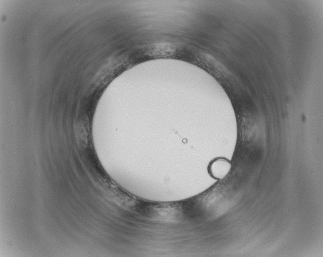 X0000070360370200606161258