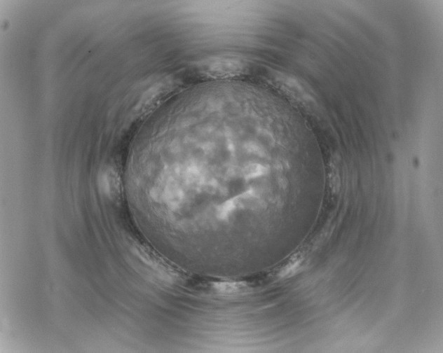 X0000070360371200606161258