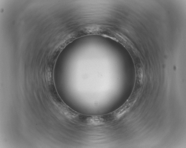 X0000070360372200606161258