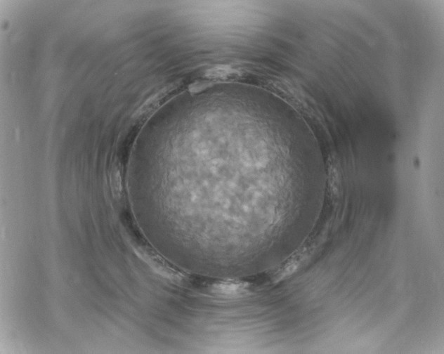 X0000070360375200606161258