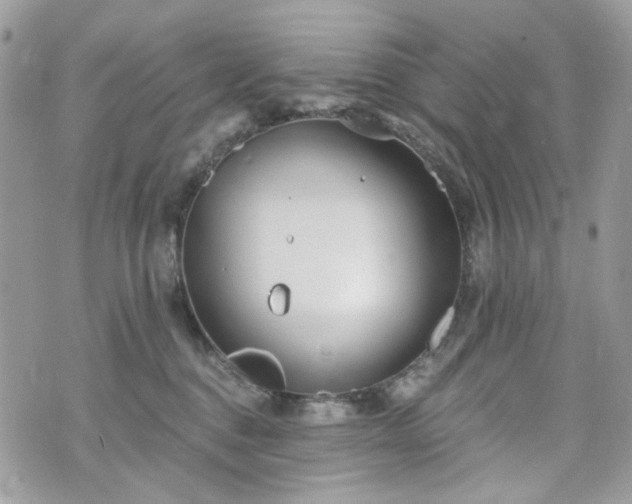 X0000070360376200606161258