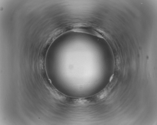 X0000070360379200606161258