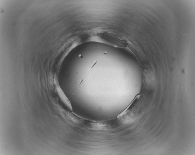 X0000070360380200606161258