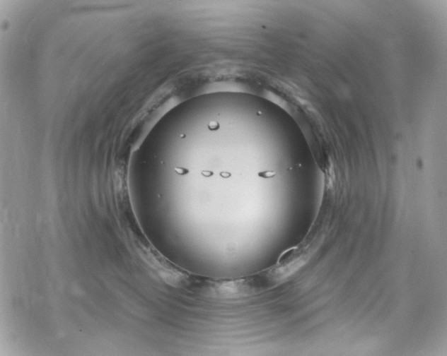 X0000070360382200606161258