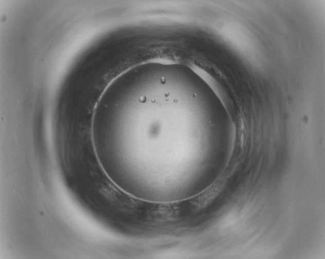 X0000070360383200606161258